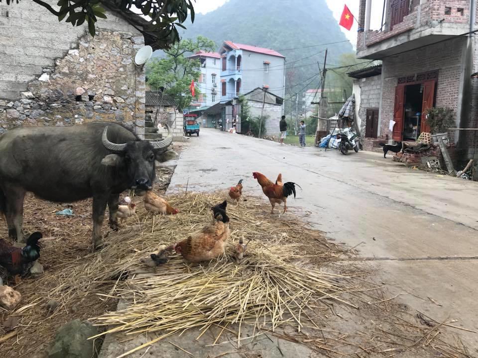 A Sy Ban Gioc Homestay - Lang Da Khuoi Ky Cao Bang Exterior foto